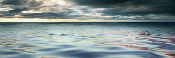 Susan|Blanchard Ryan banner