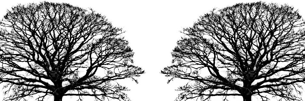 M_180890's profile banner image