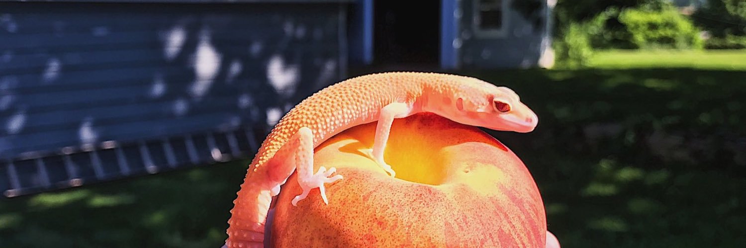 jscott168's profile banner image
