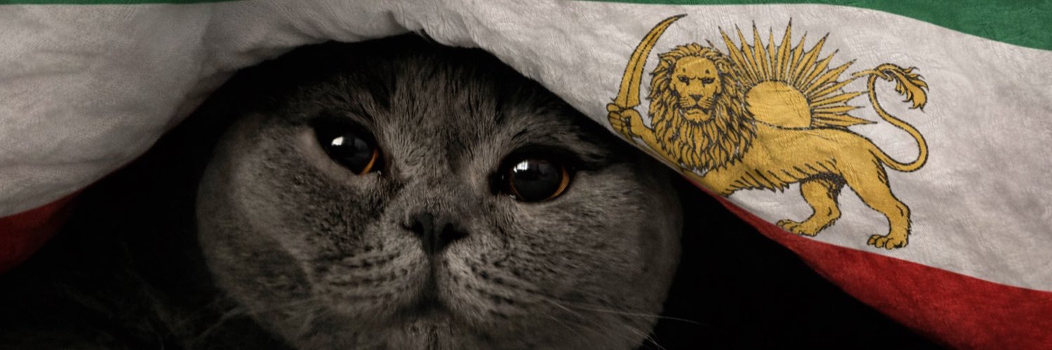 Uncle Pedro🇮🇷🇺🇸 banner