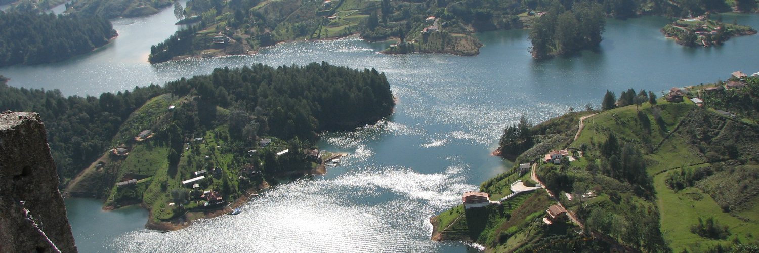 Daniel Chisca banner