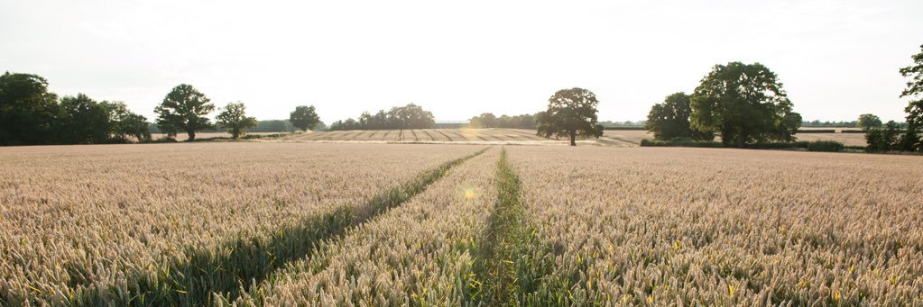Riley Hickman banner