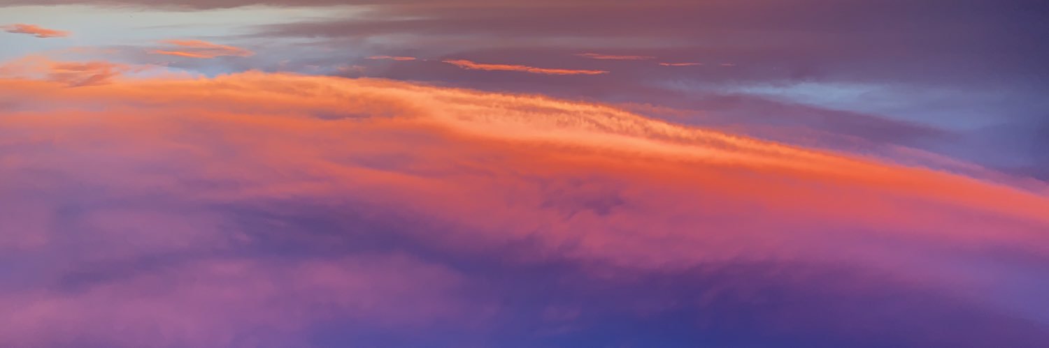 AlleyNeary's profile banner image