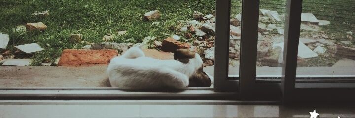 aandresag's profile banner image