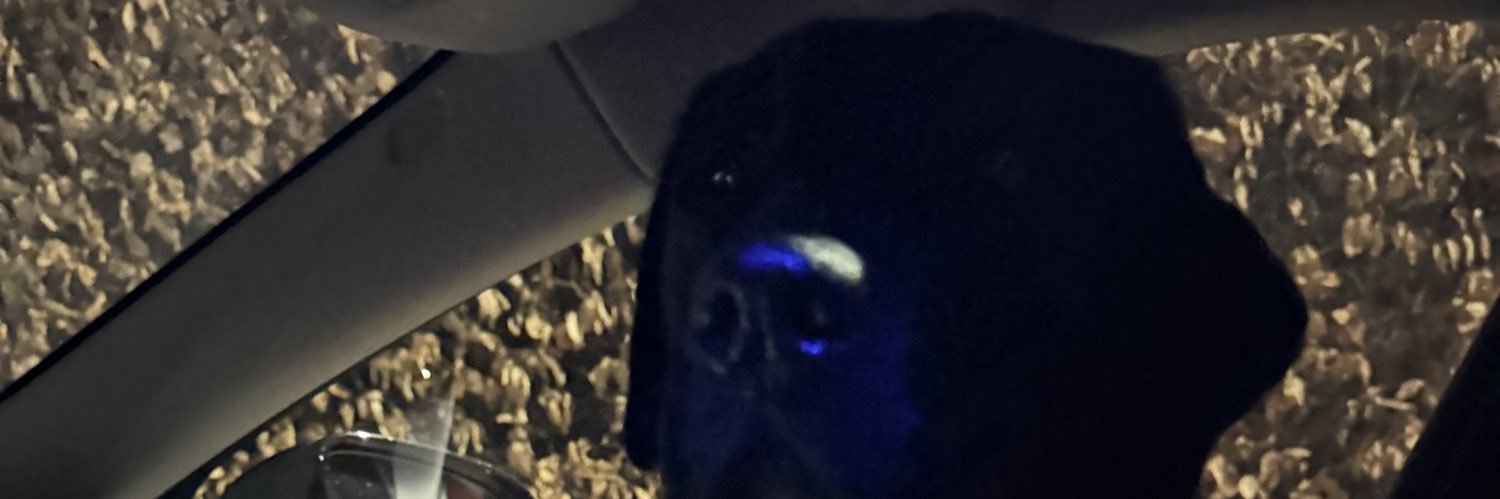 LynchNele's profile banner image