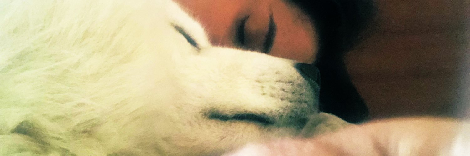LaAbadiaZ's profile banner image