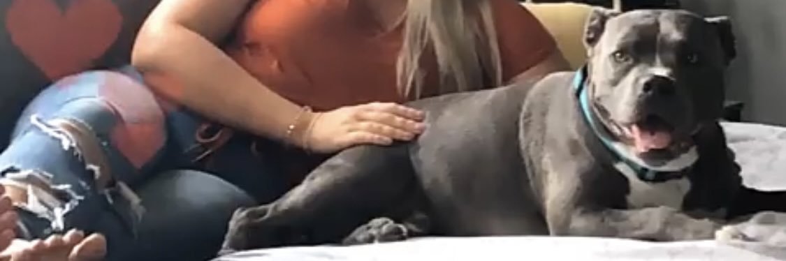 CaitlynBerning's profile banner image