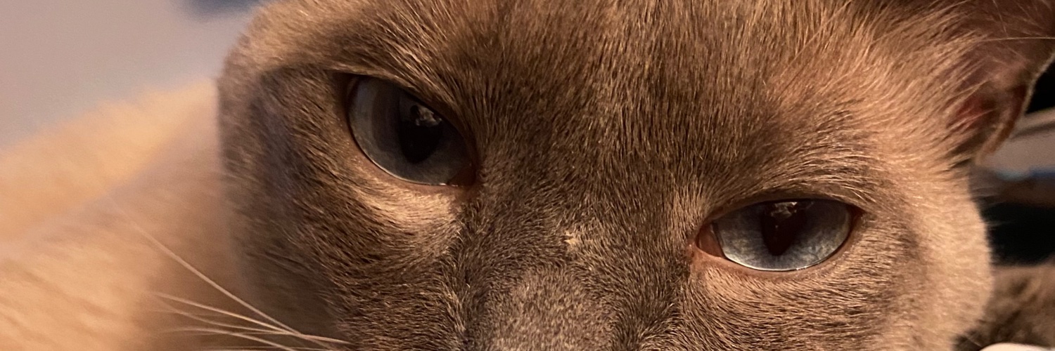 JordyRa's profile banner image