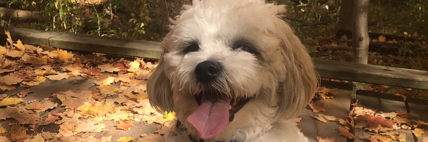 livrogerss's profile banner image
