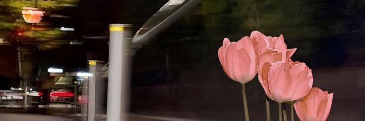 cesa clalu cedih banner