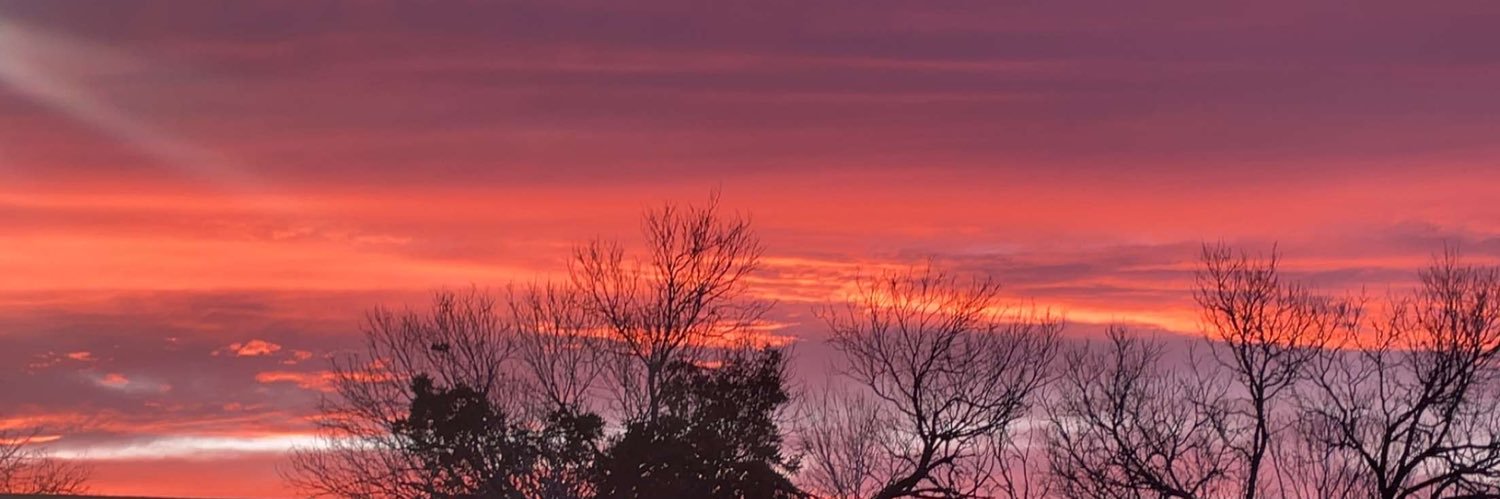 ReneeLoera's profile banner image