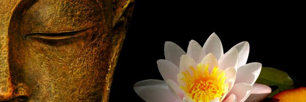 claubertin2012 Profile Banner