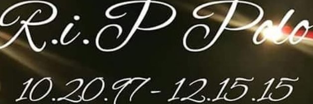 V_Moneyy's profile banner image