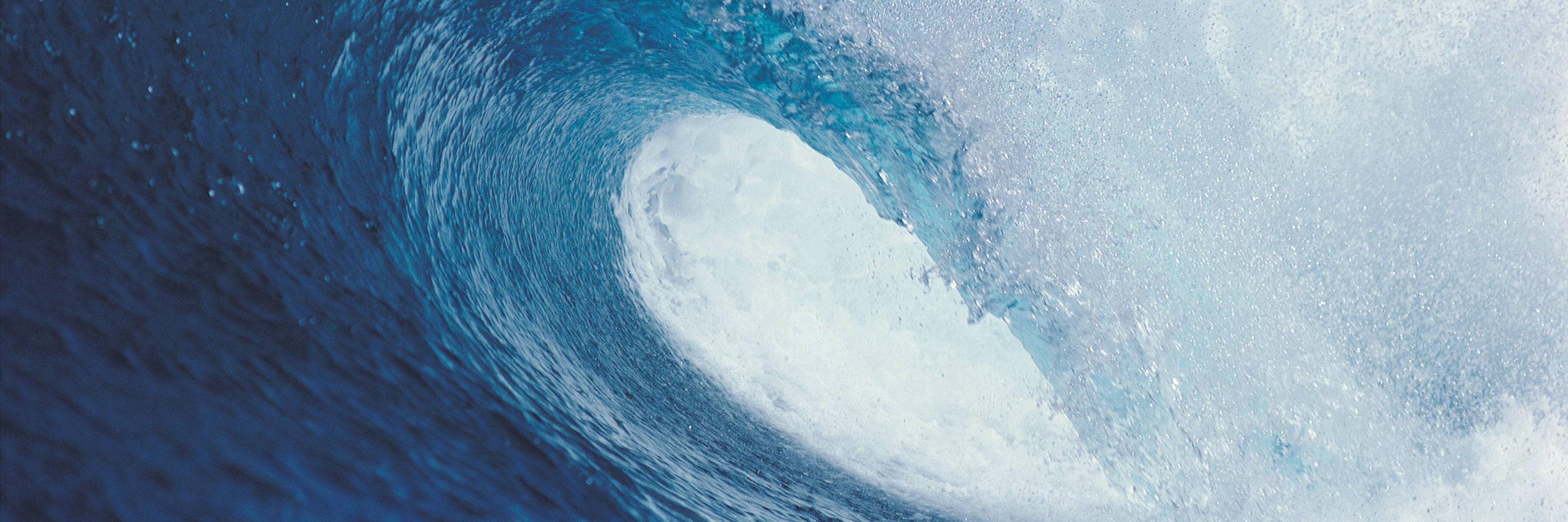 MermaidEnt's profile banner image