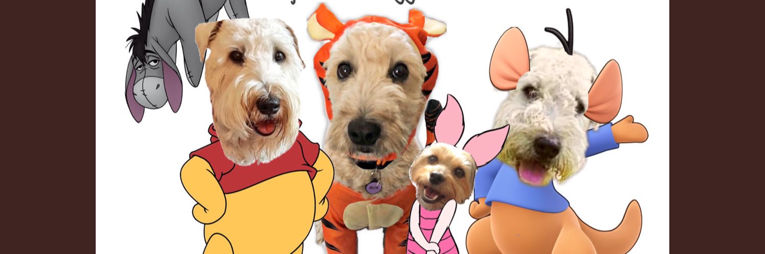 RosieGamgeeWard's profile banner image