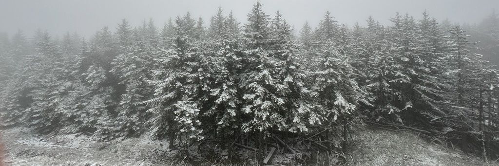 JimmyTroxell's profile banner image