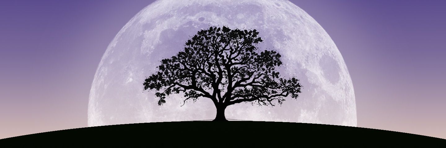 BooSanity's profile banner image