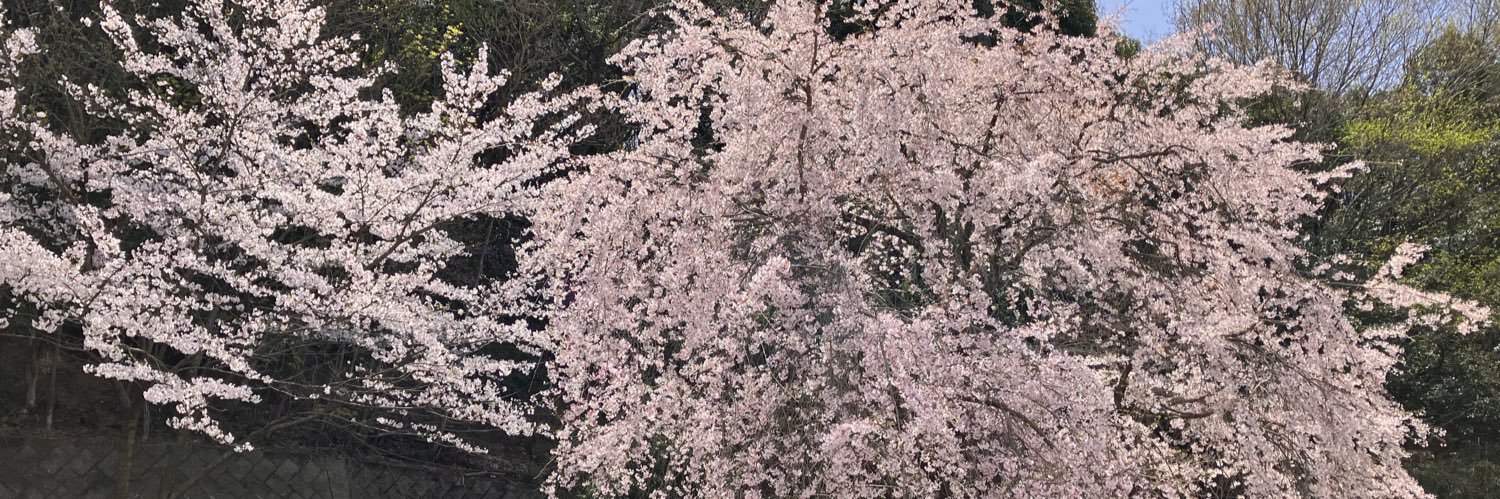 oshima_mino's profile banner image