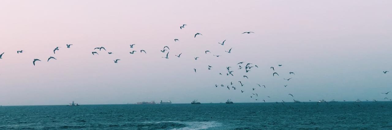 beluhileman's profile banner image