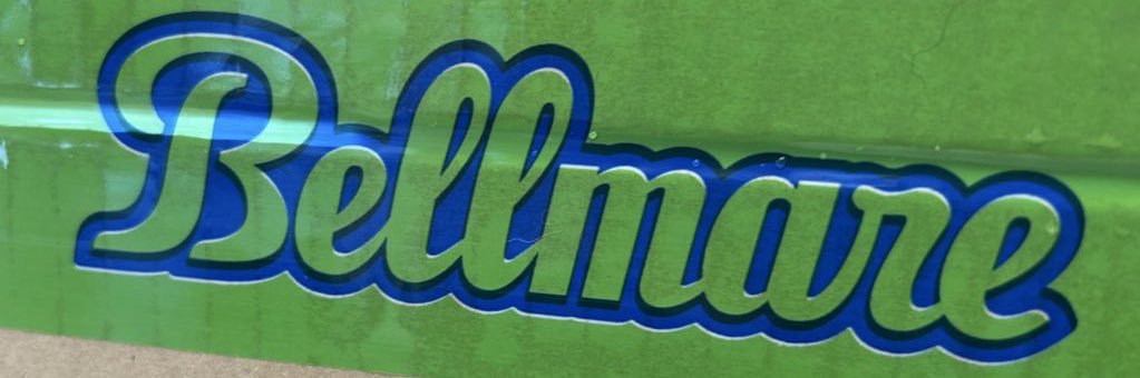 riedanas's profile banner image