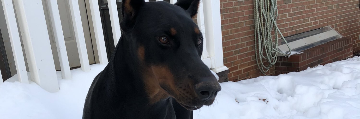 DillsHannah's profile banner image