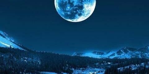 Cony1028's profile banner image