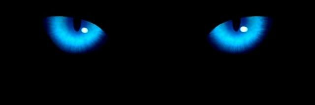 martindale_95's profile banner image
