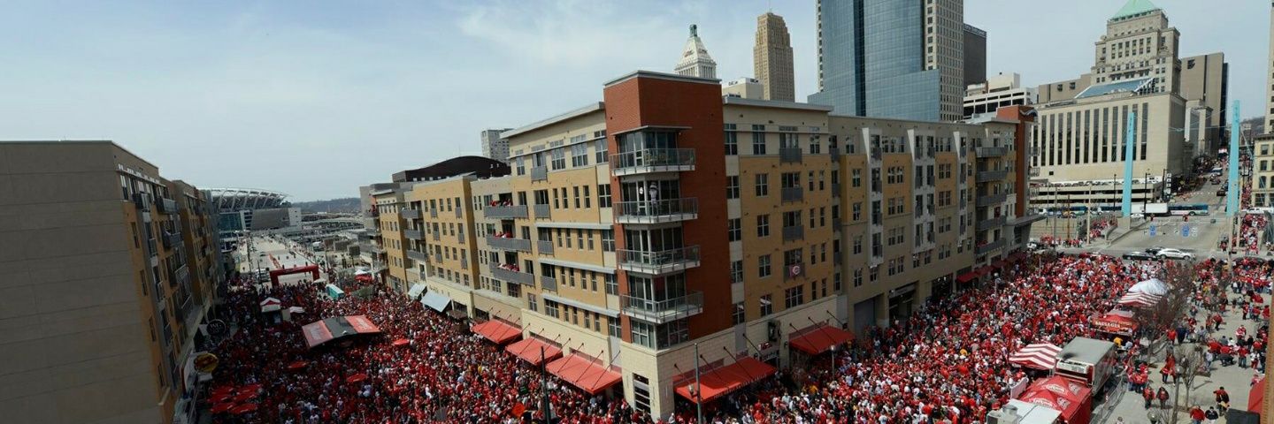 redsbcats's profile banner image