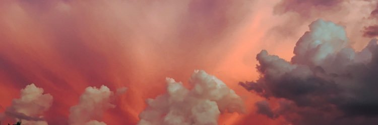 drizzyfentz's profile banner image