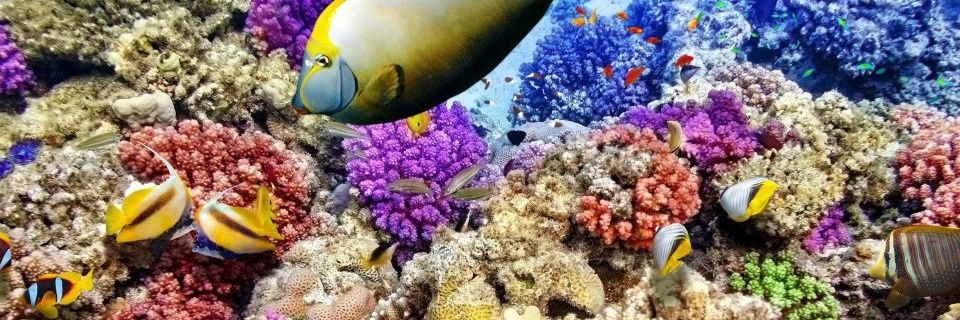 Floyd94544's profile banner image