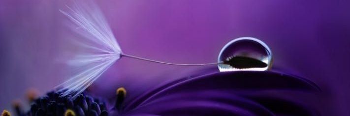 iniperempuan_'s profile banner image