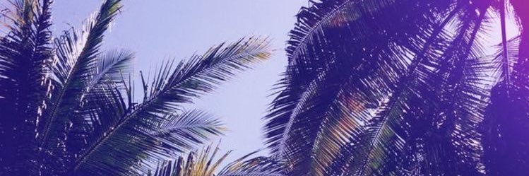 Lilo_dc9's profile banner image