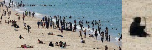 RaptorOnBicycle (MrLowerCaseA) banner