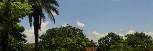 robertoliveir banner