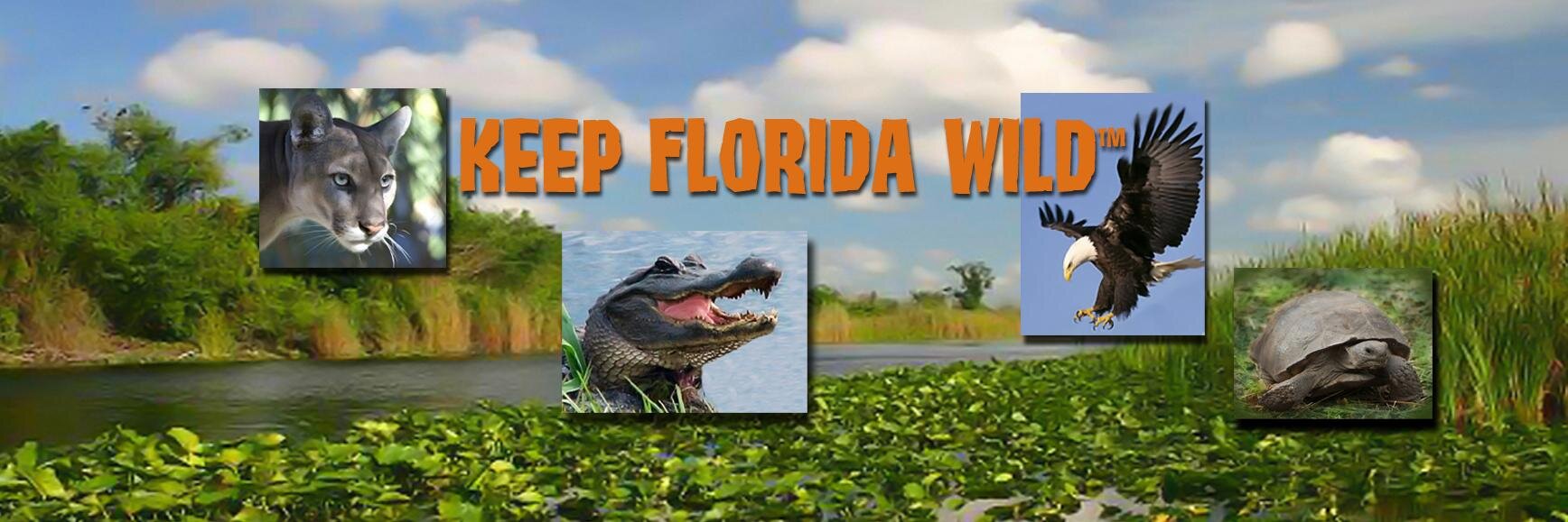 KeepFloridaWild's profile banner image