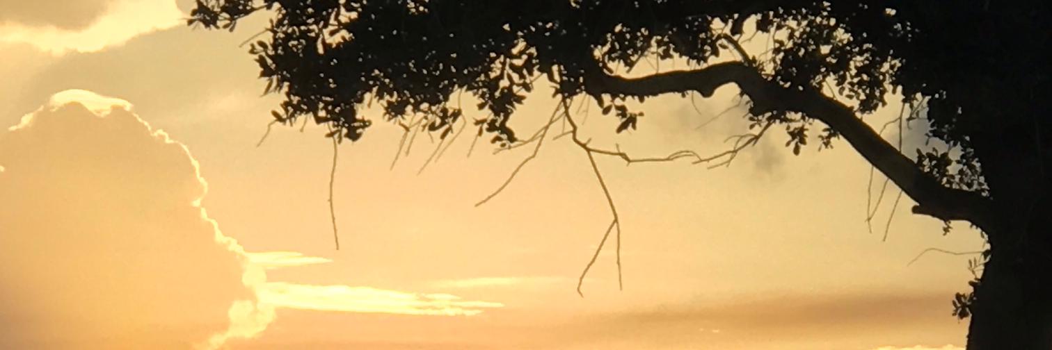 MitchPRamirez's profile banner image