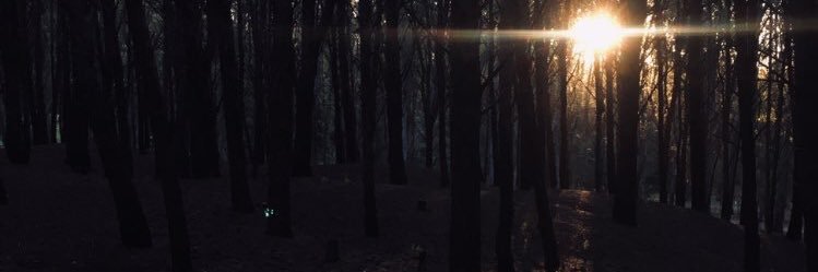 BrokenAndReal's profile banner image