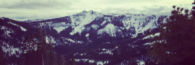 Brinn Sanders banner