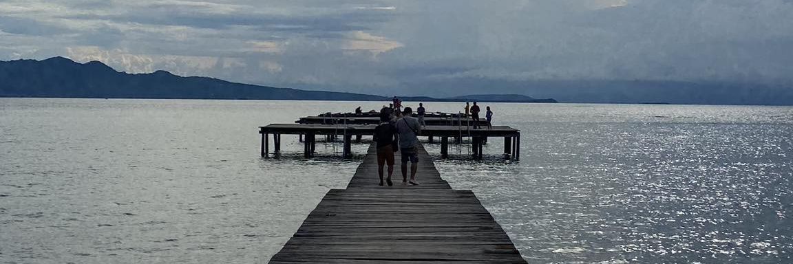 PooolDoria's profile banner image
