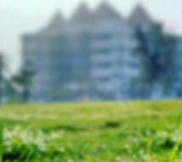 ilfsyah's profile banner image