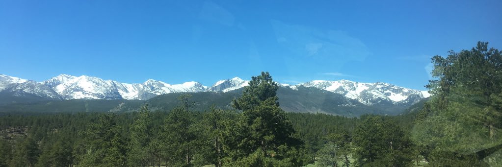 allyruth_17's profile banner image