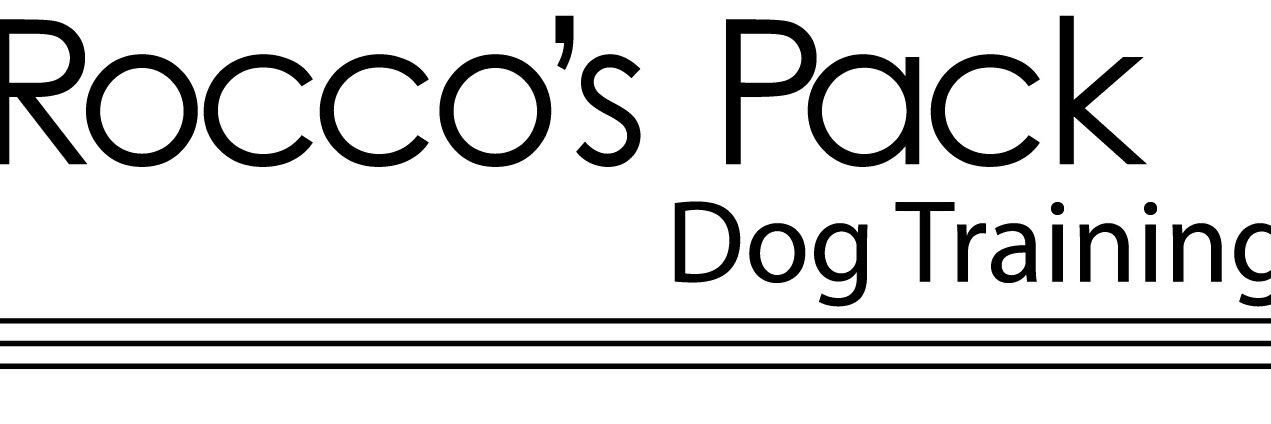 roccospack's profile banner image