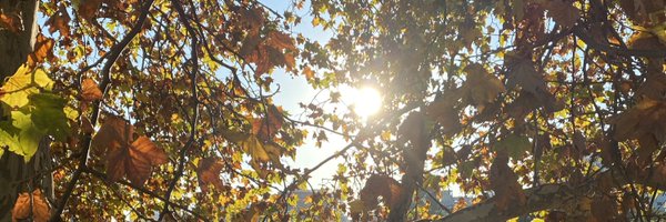 Tancredo723 Profile Banner