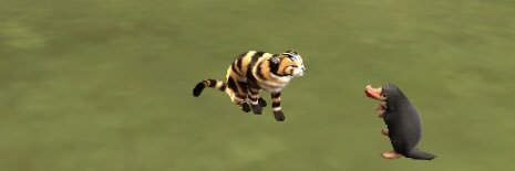 Meghan Warner banner