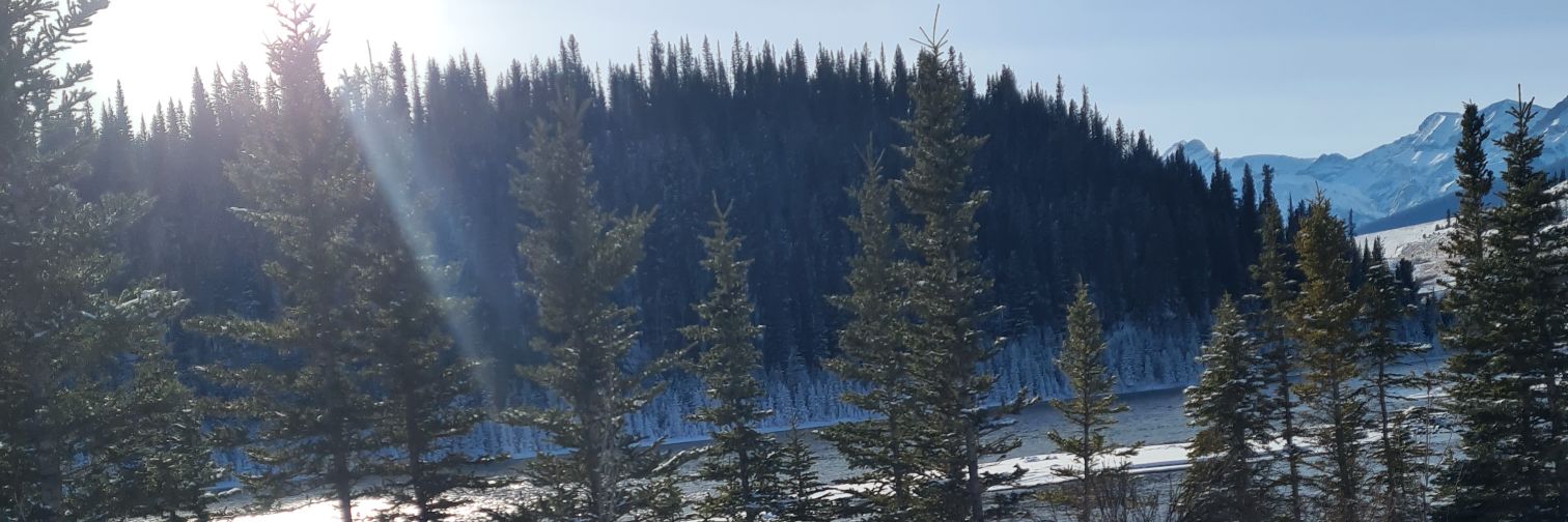 Deek78's profile banner image