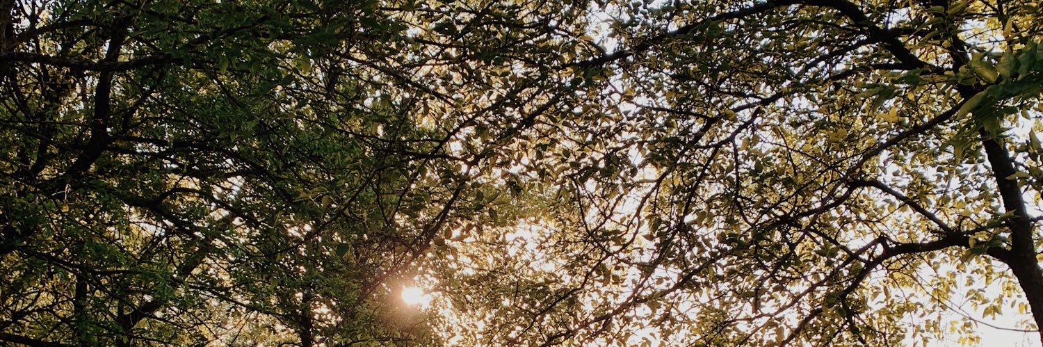 taylahhhwright's profile banner image