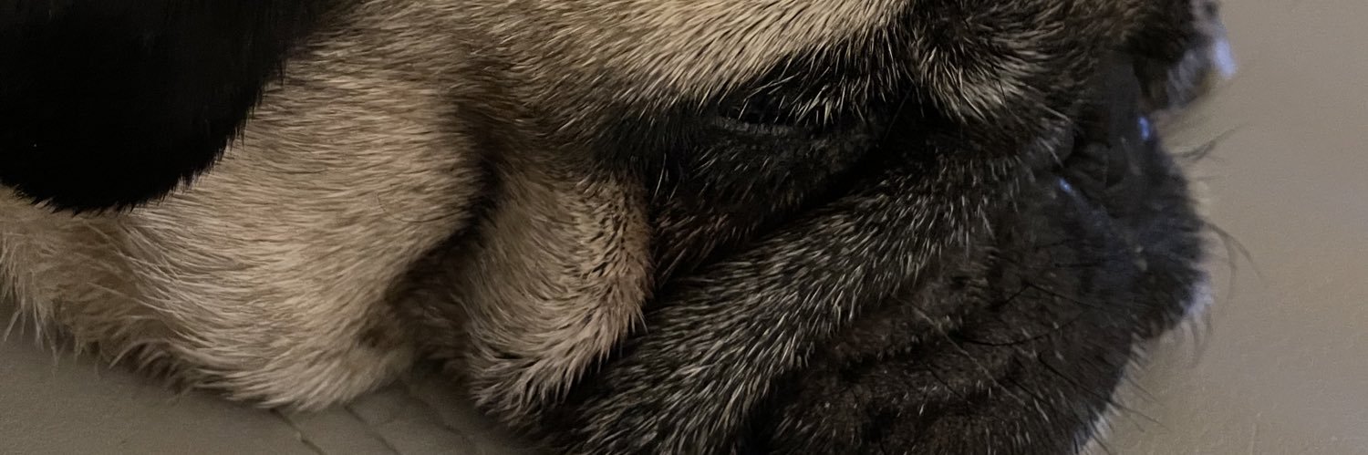 RachAnd's profile banner image