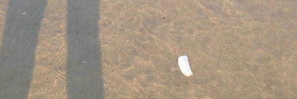 marthataggart Profile Banner