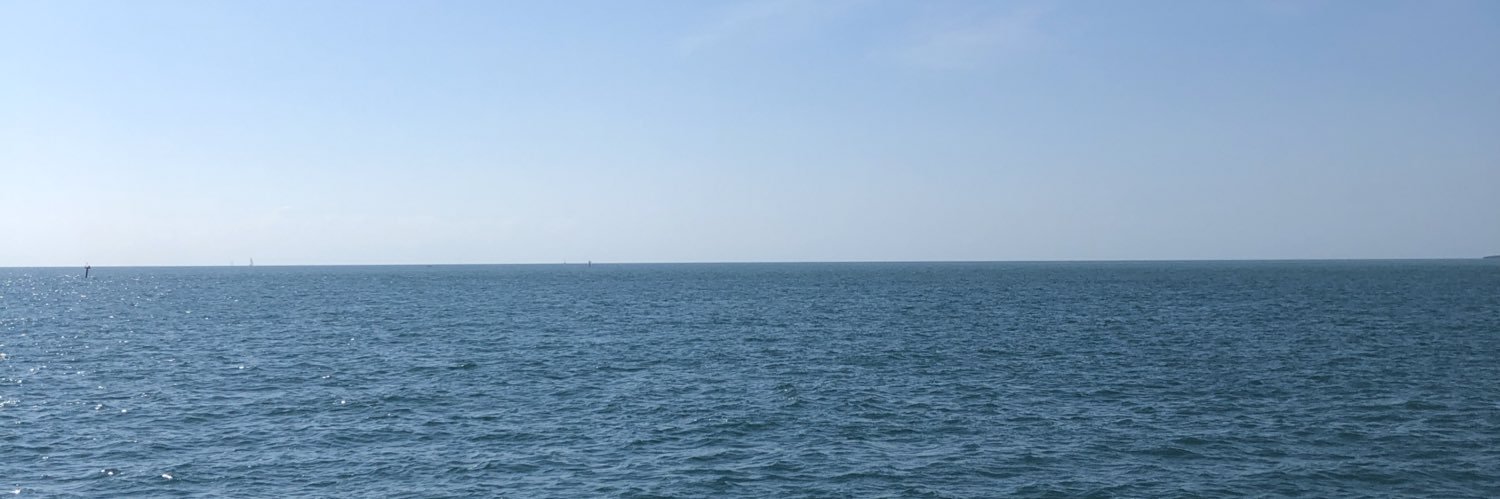 LesleyAWilliams banner