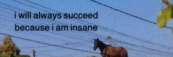 lizchar Profile Banner